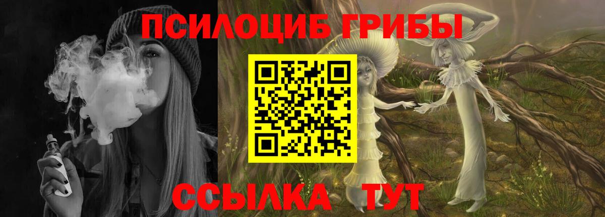 Псилоцибиновые грибы MAGIC MUSHROOMS  Галлюциногенные грибы Cubensis  Каспийск  Вход с VPN 