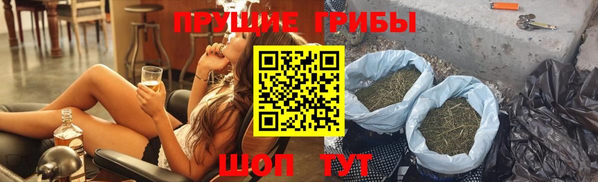 Галлюциногенные грибы Psilocybe Каспийск